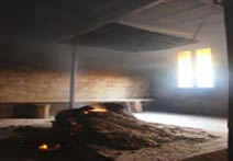  Image name: 00_4caniccio.jpg 
 width: 212 pixel 
 height: 147 pixel 
 Size: 5357 bytes 
 Click to enlarge 